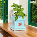 Shree Tulsi Plant in Decorative Pot